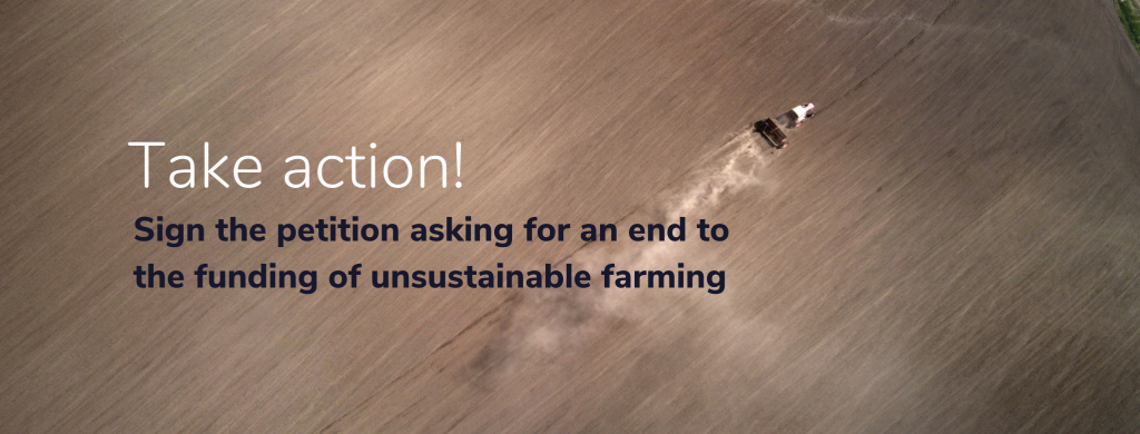 This image has an empty alt attribute; its file name is Organic-Facebook-Cover-2-1024x390.png
