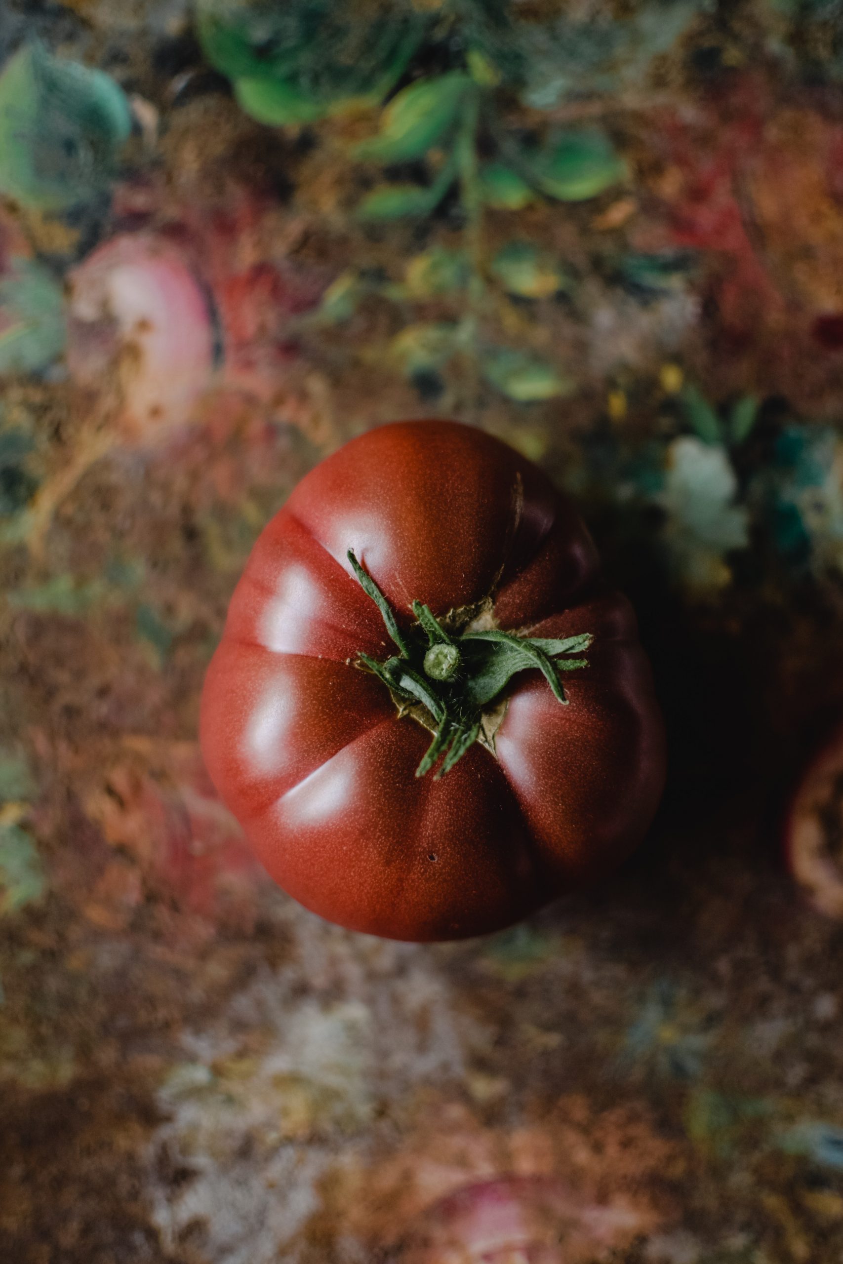 Vegetables from the soil