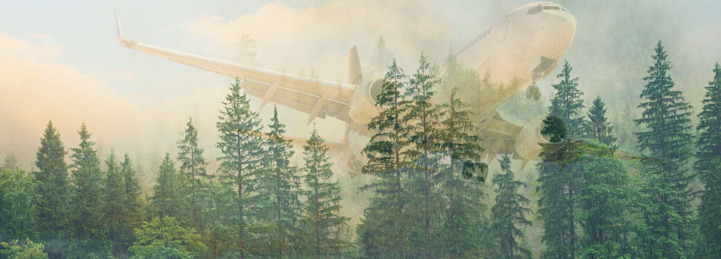 Double negative photograph of a plane flying over a forest.