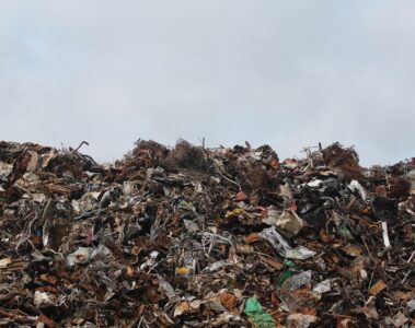 circular economy