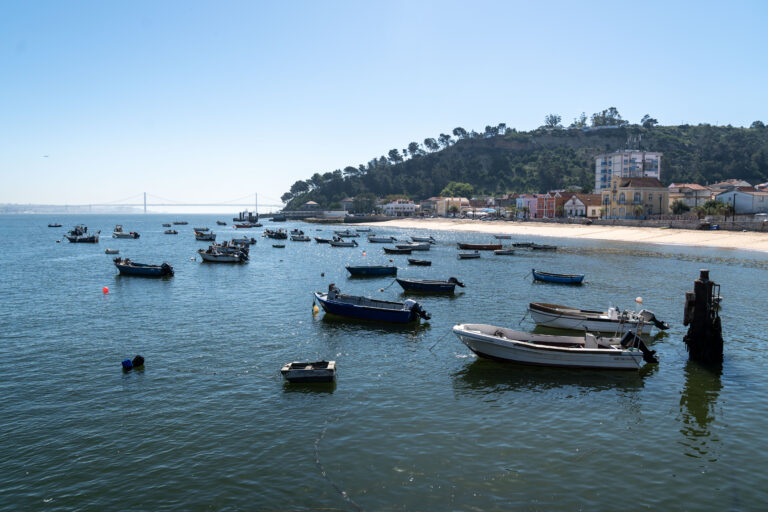 Tagus Estuary’s biodiversity