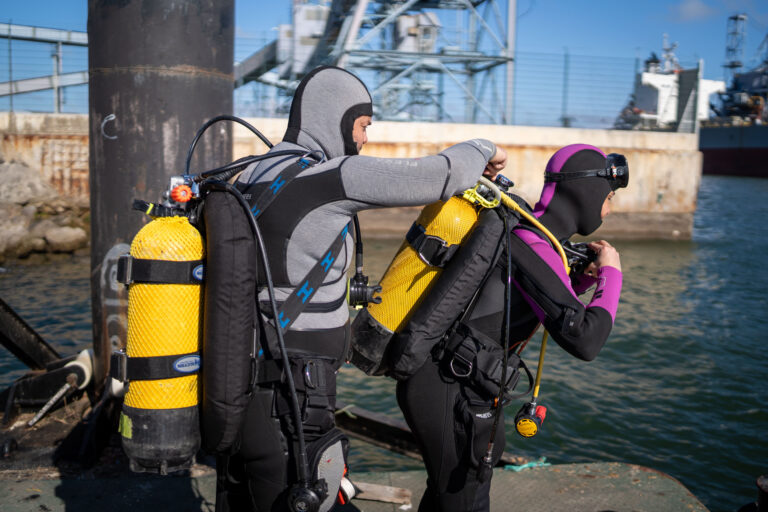 The MARDIVE team