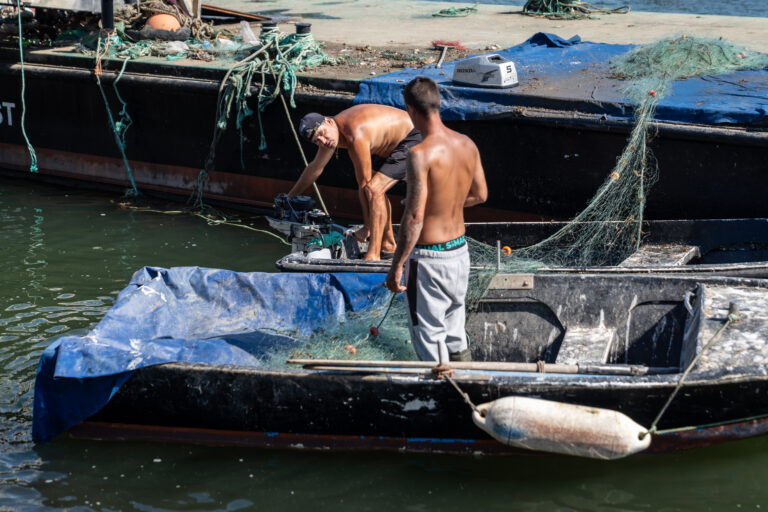 Local fishermen