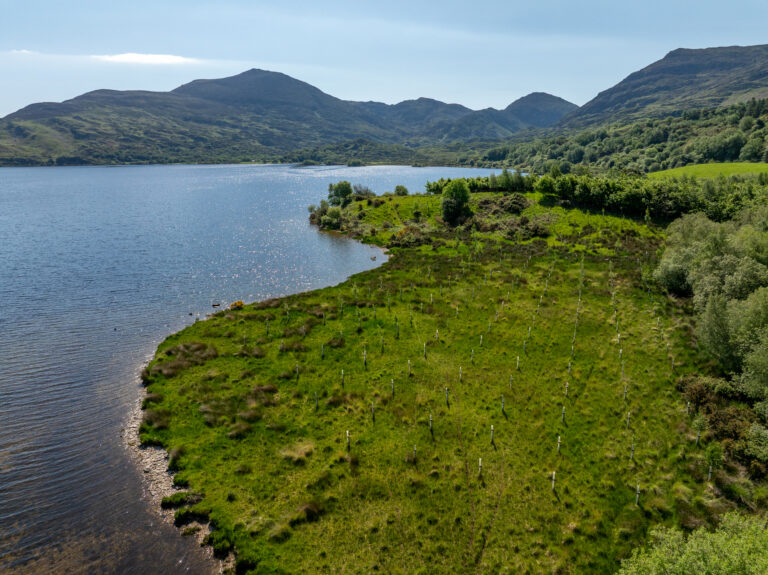 The landscape