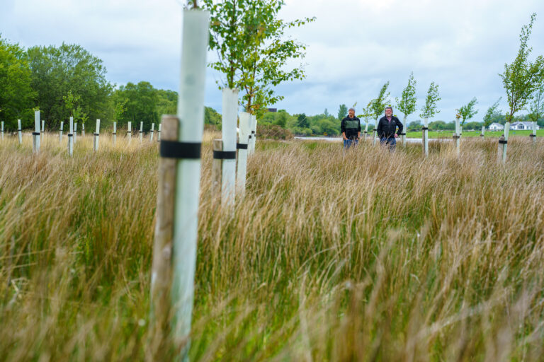 Measures and monitoring