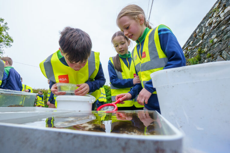 Freshwater education for school children