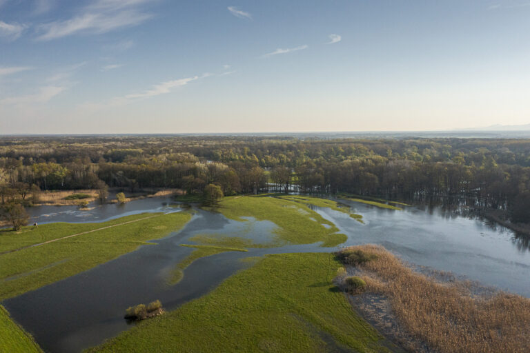 The landscape (c) Gerhard-Egger