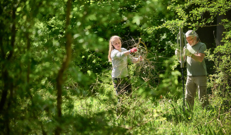 Temporary fencing