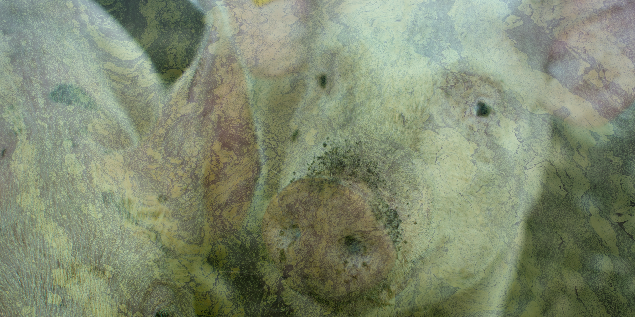 Image of pigs with green algae superimposed on top
